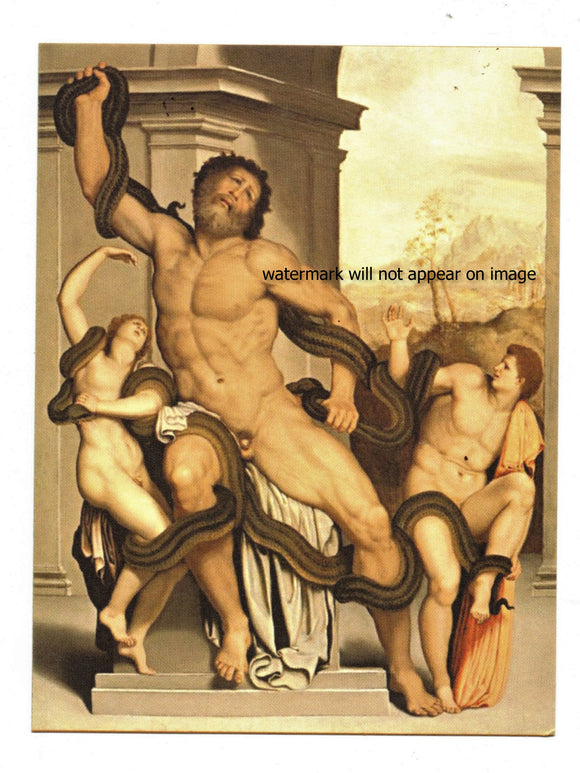 POSTCARD / ALLORI, Alessandro / Laocoon + his sons, 1550