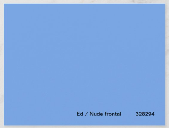 Postcard Ed Wiley Nude Frontal Zeus Gay Boutik 2117