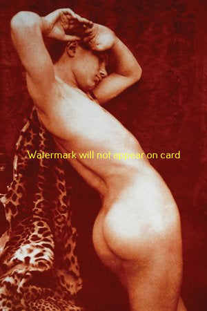 POSTCARD / VON GLOEDEN, Wilhelm / Male Nude with leopard skin, 1895