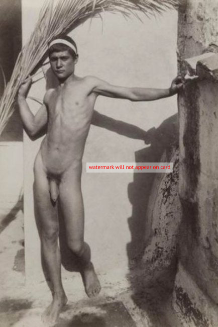 POSTCARD / VON GLOEDEN / Nude young man + palms, 1895