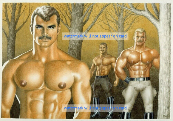 POSTCARD / Tom of Finland / Three men in forest