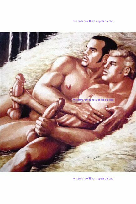 POSTCARD / Tom of Finland / Two nude men in hay