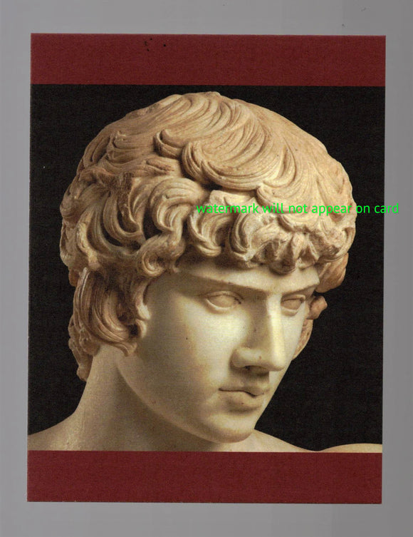 POSTCARD / Roman Bust / Antinous, 130 AD