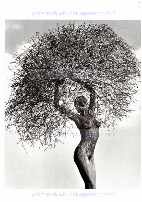 POSTCARD / Neith with tumbleweed, Paradise Cove, 1986 / RITTS, Herb