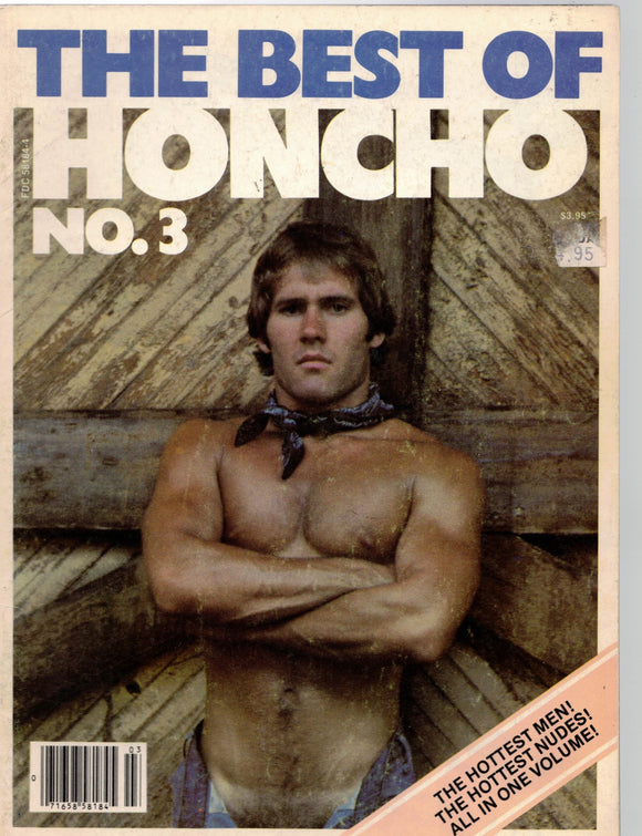 HONCHO / 1981 / Best of Honcho No. 3 / Bill Nuckells / David Dillon / Big Max / Gordon Grant / Bull Dozier / Gregg Strom / Marty Palmer / Tony Romano / Paul Baressi / Hank Ditmar