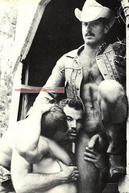 POSTCARD / Pat Webb (Joe Pacudah) + nude cowboy friends