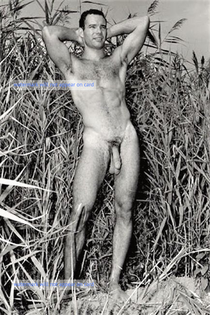 POSTCARD / Raymond nude in fields