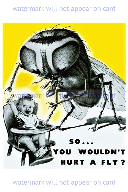 POSTCARD / So you wouldn t hurt a fly