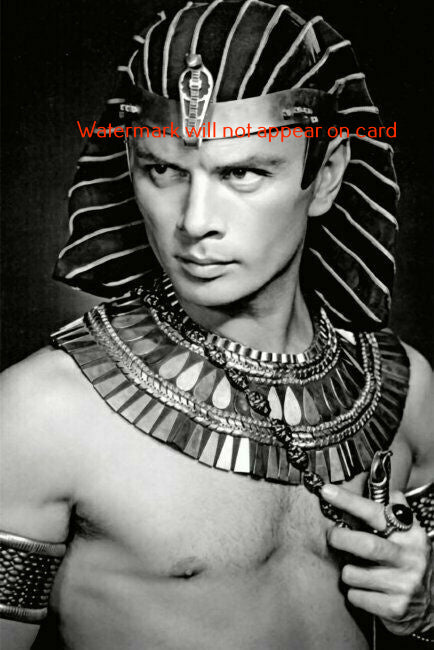 POSTCARD / Yul Brynner as Ramesses / The Ten Commandments, 1956