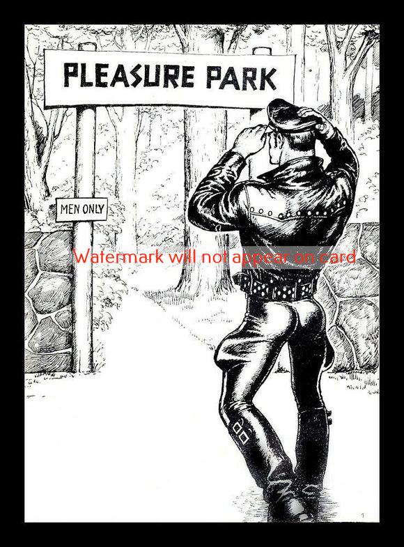 GREETING CARD / Tom of Finland / Pleasure Park