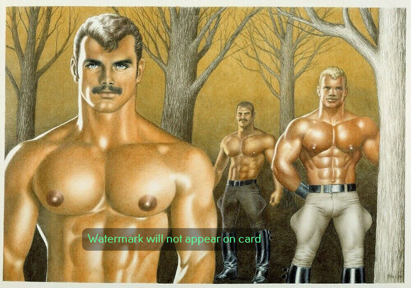 GREETING CARD / Tom of Finland / Three men in Forest