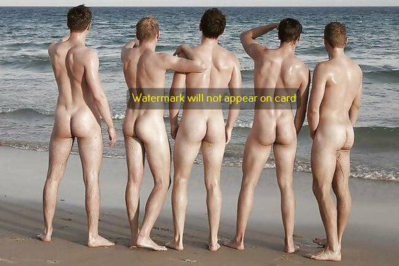 POSTCARD / Five nude men facing the sea