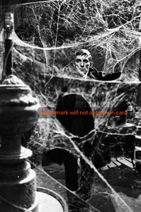 GREETING CARD / Dark Shadows / Barnabas in spider webs