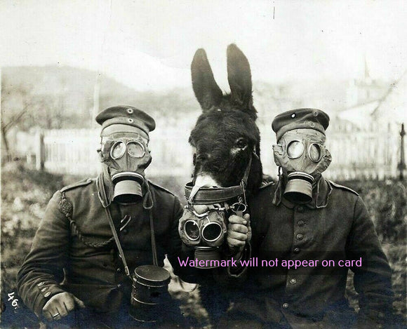 NOTE CARD / Masked WWI soldiers with donkey