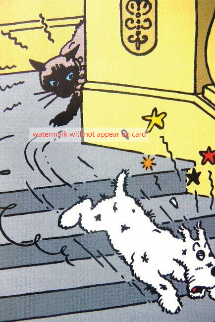 POSTCARD / Tintin / Cat and Milou chase in the stairs