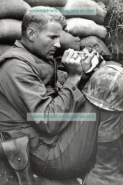 POSTCARD / Marine sergeant feeding kitten