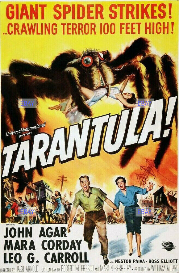 GREETING CARD / Tarantula, 1955 / John Agar / Mara Corday