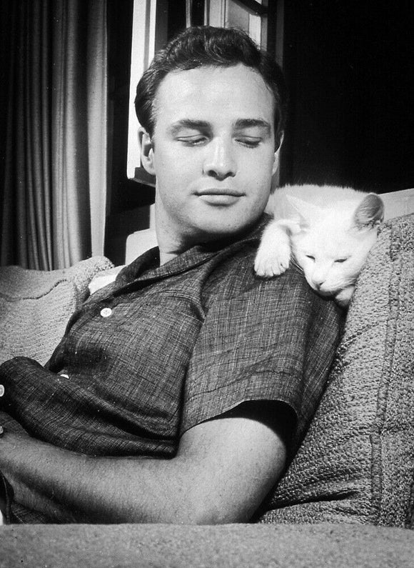 NOTE CARD / Marlon Brando + Cat, 1954