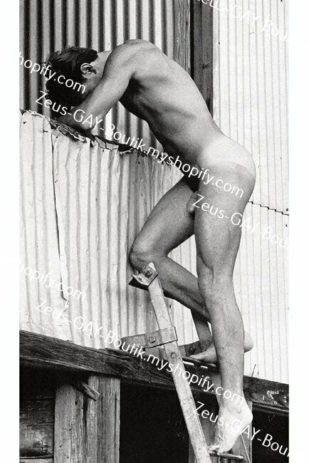 POSTCARD / Dirk Schaffer nude on ladder