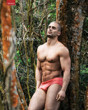 DNA Magazine / 173 / June 2014 / Johnny Weir / Matthew Bourne / Todd Sandfield / Kevin McDermott / Frederick Valentin