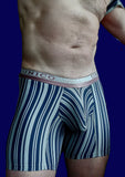 Cyclist Briefs / Medium / Mundo Unico / Striped
