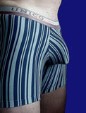 Cyclist Briefs / Medium / Mundo Unico / Striped