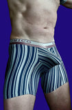 Cyclist Briefs / Medium / Mundo Unico / Striped