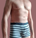 Boxer Briefs / Medium / Tommy Hilfiger / Gray + Black stripes