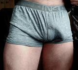Boxer Briefs / Calvin Klein / Medium / Grey