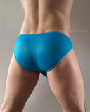 Bikini Briefs / Medium / Blue