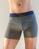 Boxer Briefs / Spyder / Medium / Grey with navy band