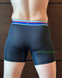 Boxer Briefs / Champion / Medium / Black with blue stripes