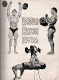 Muscle Builder Magazine / 1963 / February / John Tristram / Steve Reeves / Ben Weider / Charles Stroder / Gene Shuey / Jose Castenada Lence