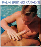 SKIN FLICKS / 1993 / June / Ryan Idol / Tom Katt / Kip Harding / Danny Sommers / Joey Stefano / Jon Vincent