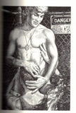 SILVERSTEIN Charles & PICANO Felice / Edmund White / F. Ronald Fowler / Deni Ponty / The New Joy of Gay Sex, 1st edition, 1992