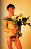 Le Gay Pavois / 1994 / Mai / Montherlant / Da Vinci / Herbert List / Sebastiano Gambera / Edouard MacAvoy