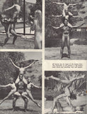 EDEN Quarterly / 1962 No. 11