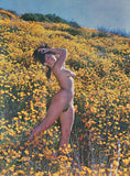 EDEN Quarterly / 1962 No. 11