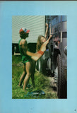 PLAYGIRL Presents / Couple fantasies / 1985 / February