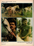 STALLION / 1986 / July / Glenn Swann / Lainie Kazan / Bobby Madison / Mike Allen / Divine / Tim Kramer / Steve Collins / Kip Noll / Casey Edwards / Jim Bentley / Michael Christopher / Robert Vega / Jake Scott / Nick Schultz / Scott Avery / Casey Donovan