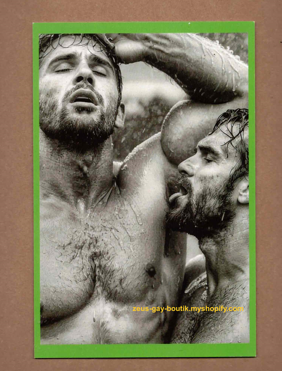 POSTCARD / Sexy Licks