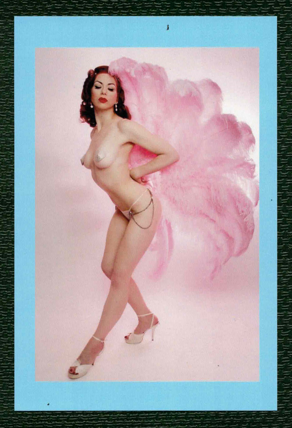 POSTCARD / Showgirl / Paulina in pink