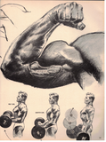 Muscle Builder Magazine / 1962 / September / Steve Reeves / Charles Harve / Don Hollinsworth / George Danenberg / Sammy Berg / Eric Pedersen / Jean-Charles St-Mars