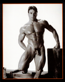 COLT STUDIO PRESENTS / 1996 / No. 18 / Boyd Hanson / Greg Rhiner / Myles West / Patrick Fuller / Cal Sinclair / Jason Brahm / Chance Caldwell / jake Tanner / Mark Wolff / Helmut Kross / Carl Hardwick /