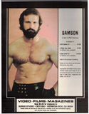 BLUEBOY / A special collector's edition / 1983 / Spring, Vol. 1 No. 1 / Johnny Harden / Charley Smith / Barry Hoffman / Bob Belmont / Will Seagers / Brad Mason / Roy Dean / Scorpio / George Dana (Samson)