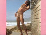 PLAYGIRL Calendar / 1986 / Men in bathing suits / Brian Buzzini / Daniel Cook / David Hawk / Scott King / Rick Barker / Tom Herrington / Craig Shaffer / Randy West