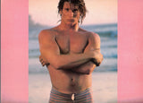 PLAYGIRL Calendar / 1986 / Men in bathing suits / Brian Buzzini / Daniel Cook / David Hawk / Scott King / Rick Barker / Tom Herrington / Craig Shaffer / Randy West