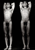 ARNOLD, Steven / Exotic Tableaux / 1996 / Used
