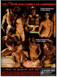 ADAM GAY VIDEO DIRECTORY / 1996 / Chip Daniels / Dino Phillips / Casey Williams