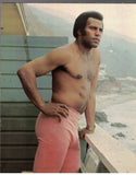 PLAYGIRL / 1973 / October / Fred Williamson / Robert Prestwood / Amsterdam / Jacqueline Susan
